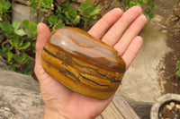 Polished Tiger's Eye Free Forms x 2 From Prieska, South Africa