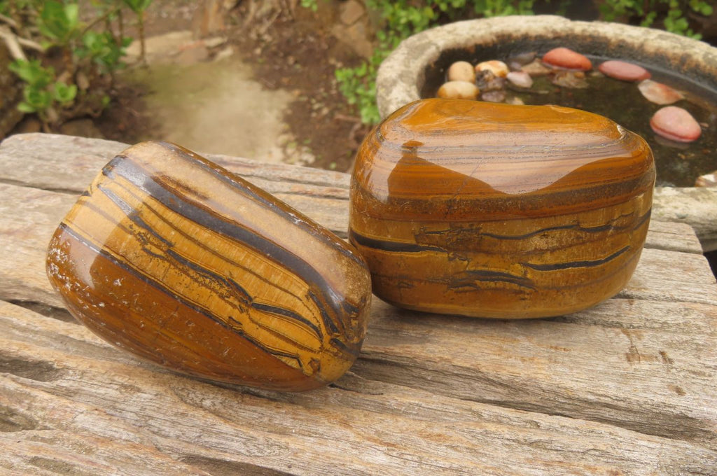 Polished Tiger's Eye Free Forms x 2 From Prieska, South Africa - Toprock Gemstones and Minerals 
