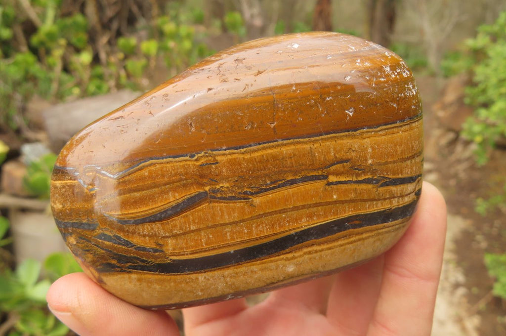 Polished Tiger's Eye Free Forms x 2 From Prieska, South Africa - Toprock Gemstones and Minerals 