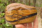 Polished Tiger's Eye Free Forms x 2 From Prieska, South Africa - Toprock Gemstones and Minerals 