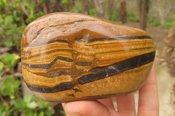 Polished Tiger's Eye Free Forms x 2 From Prieska, South Africa