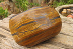 Polished Tiger's Eye Free Forms x 2 From Prieska, South Africa - Toprock Gemstones and Minerals 