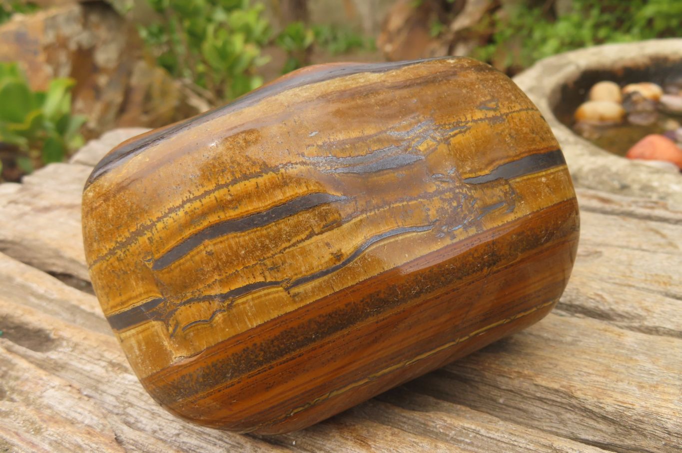 Polished Tiger's Eye Free Forms x 2 From Prieska, South Africa - Toprock Gemstones and Minerals 