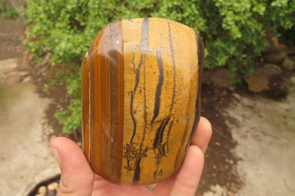 Polished Tiger's Eye Free Forms x 2 From Prieska, South Africa - Toprock Gemstones and Minerals 