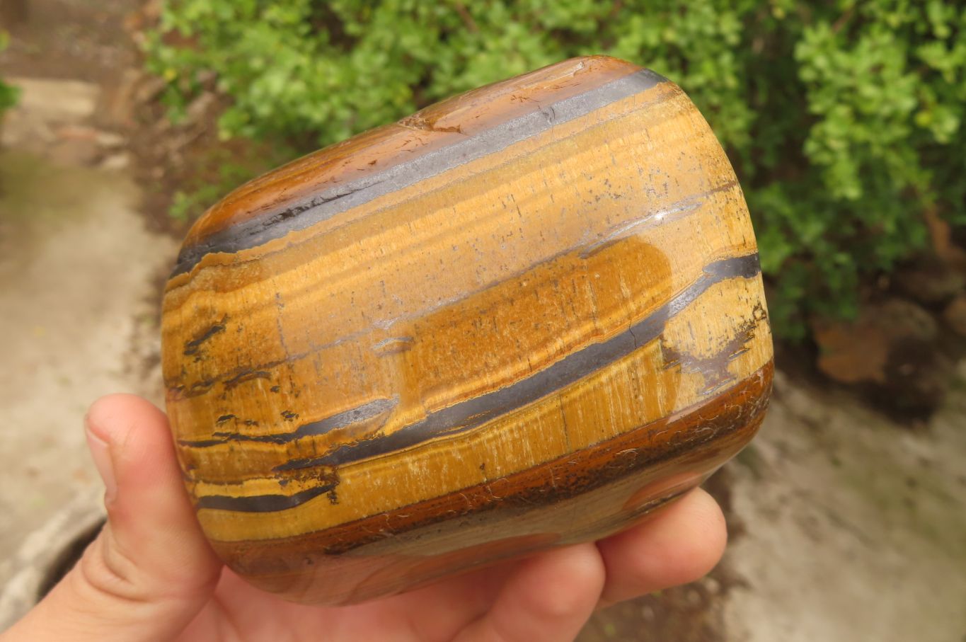 Polished Tiger's Eye Free Forms x 2 From Prieska, South Africa - Toprock Gemstones and Minerals 