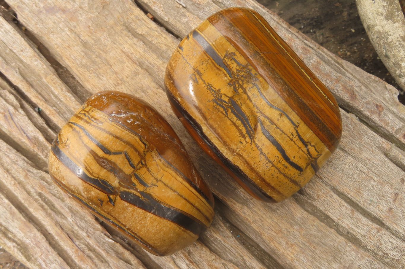 Polished Tiger's Eye Free Forms x 2 From Prieska, South Africa - Toprock Gemstones and Minerals 