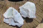Natural Etched Blue Chalcedony Specimens x 12 From Nsanje, Malawi - Toprock Gemstones and Minerals 