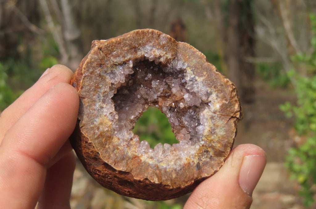 Natural Zululand Amethyst Geodes x 12 from Jozini, South Africa - Toprock Gemstones and Minerals 