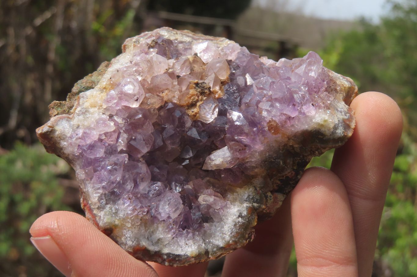 Natural Zululand Amethyst Geodes x 12 from Jozini, South Africa - Toprock Gemstones and Minerals 