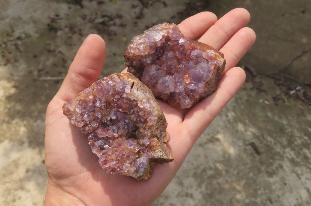 Natural Zululand Amethyst Geodes x 12 from Jozini, South Africa - Toprock Gemstones and Minerals 
