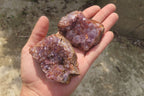 Natural Zululand Amethyst Geodes x 12 from Jozini, South Africa - Toprock Gemstones and Minerals 