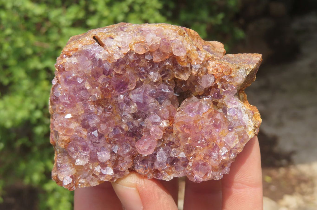 Natural Zululand Amethyst Geodes x 12 from Jozini, South Africa - Toprock Gemstones and Minerals 