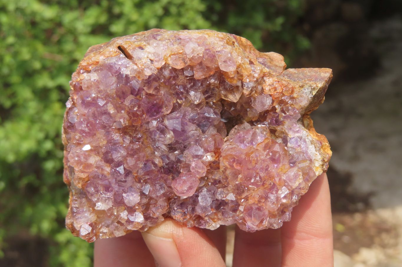 Natural Zululand Amethyst Geodes x 12 from Jozini, South Africa - Toprock Gemstones and Minerals 