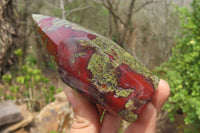 Natural Bastite Dragon Bloodstone Points x 2 From South Africa - Toprock Gemstones and Minerals 