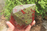 Natural Bastite Dragon Bloodstone Points x 2 From South Africa - Toprock Gemstones and Minerals 