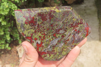 Natural Bastite Dragon Bloodstone Points x 2 From South Africa - Toprock Gemstones and Minerals 