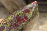 Natural Bastite Dragon Bloodstone Points x 2 From South Africa - Toprock Gemstones and Minerals 
