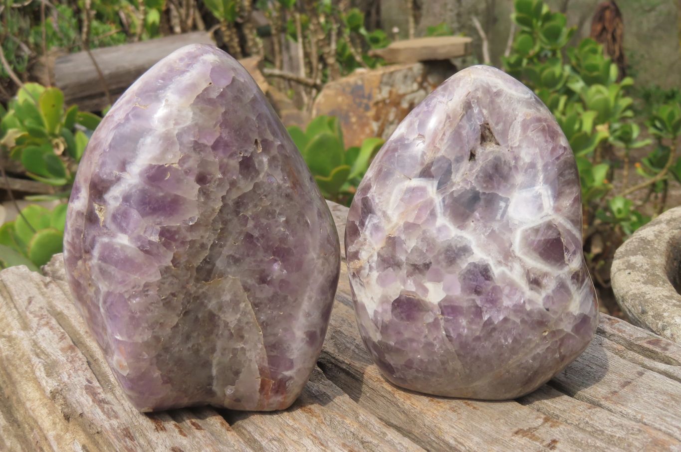 Polished Chevron Amethyst Standing Free Forms x 2 From Madagascar - Toprock Gemstones and Minerals 
