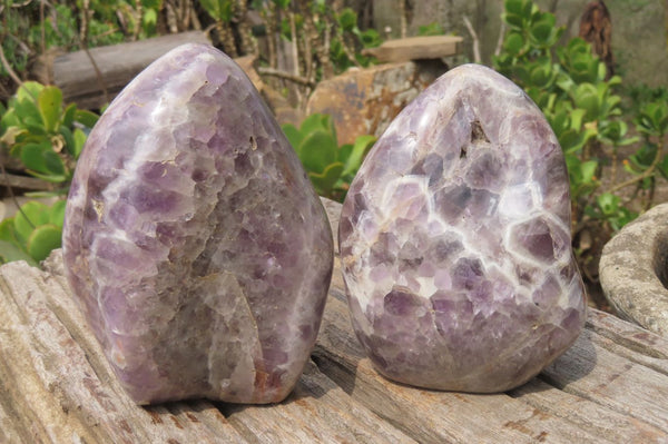 Polished Chevron Amethyst Standing Free Forms x 2 From Madagascar