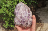 Polished Chevron Amethyst Standing Free Forms x 2 From Madagascar - Toprock Gemstones and Minerals 