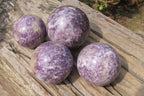 Polished Lepidolite with Pink Rubellite Spheres x 4 From Ambatondrazaka, Madagascar - Toprock Gemstones and Minerals 