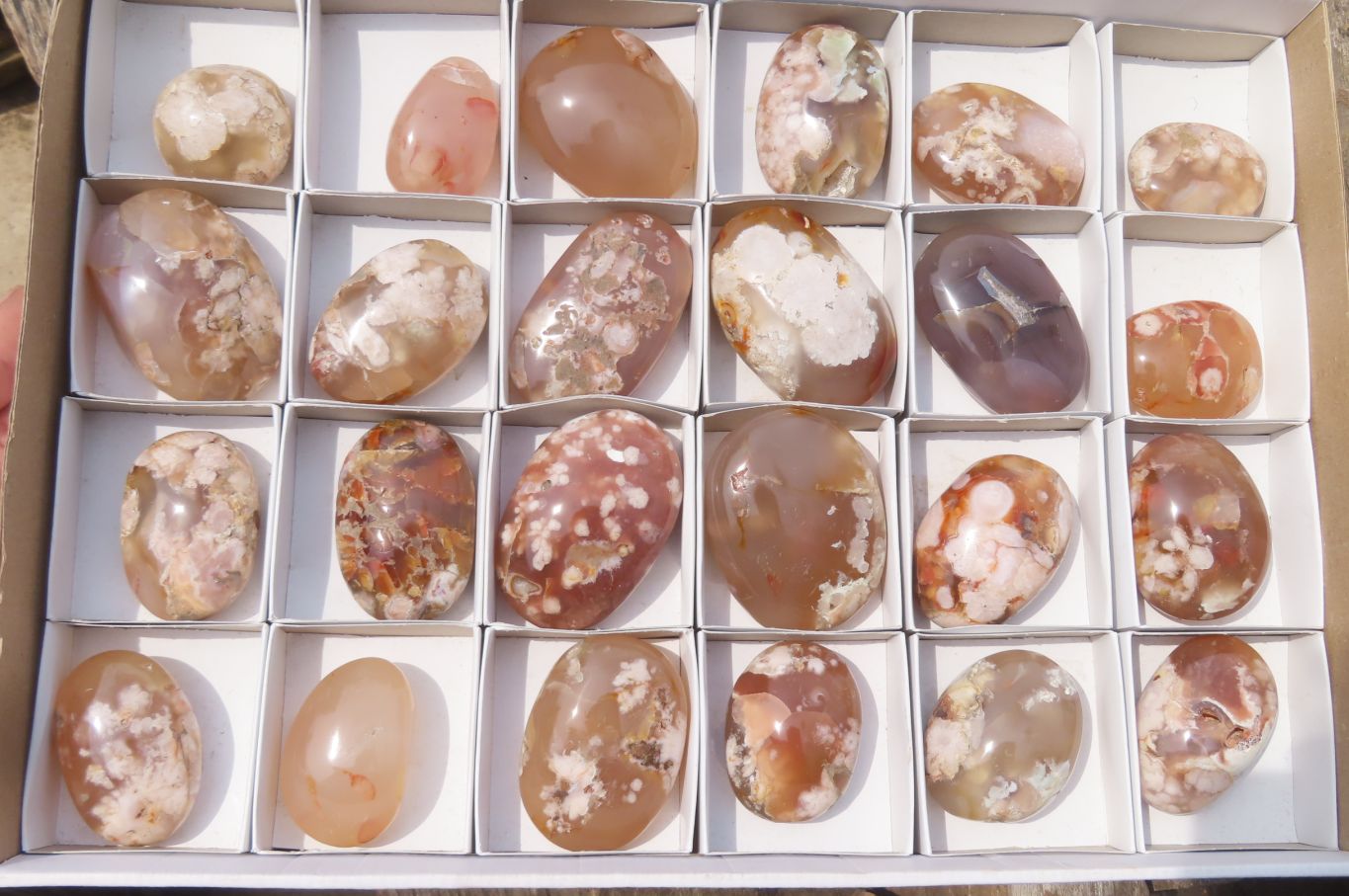 Polished Flower Agate Palm Stones x 24 From Madagascar - Toprock Gemstones and Minerals 