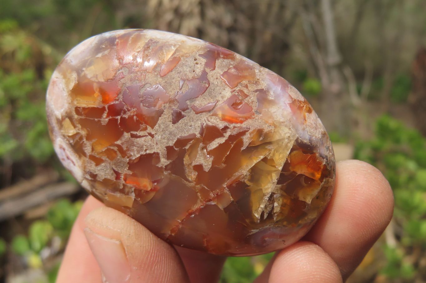 Polished Flower Agate Palm Stones x 24 From Madagascar - Toprock Gemstones and Minerals 