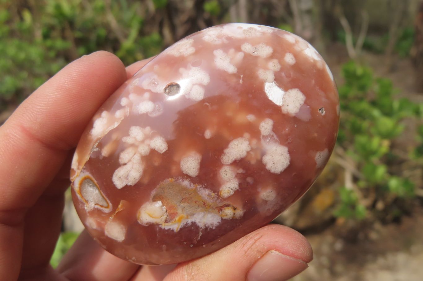 Polished Flower Agate Palm Stones x 24 From Madagascar - Toprock Gemstones and Minerals 