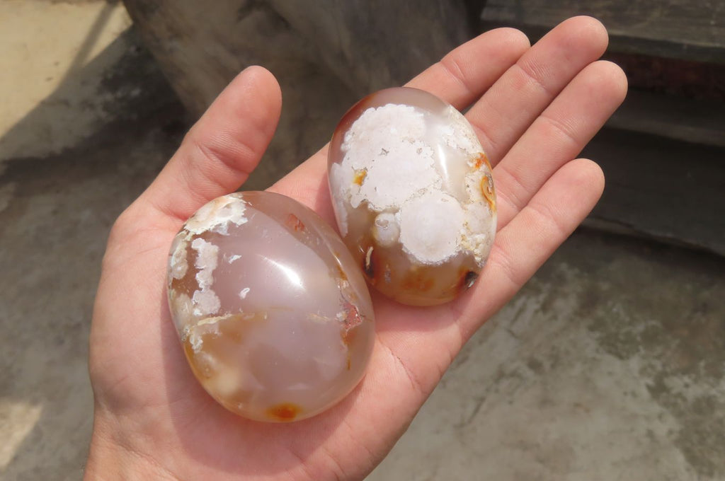 Polished Flower Agate Palm Stones x 24 From Madagascar - Toprock Gemstones and Minerals 