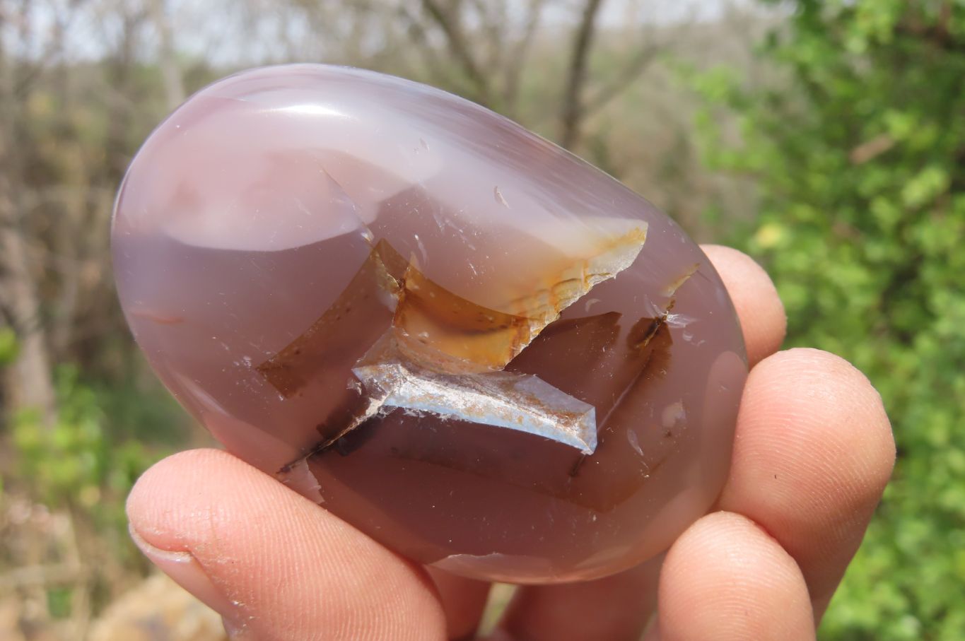 Polished Flower Agate Palm Stones x 24 From Madagascar - Toprock Gemstones and Minerals 
