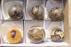 Polished Septerye Spheres x 6 From Mahajanga, Madagascar - Toprock Gemstones and Minerals 