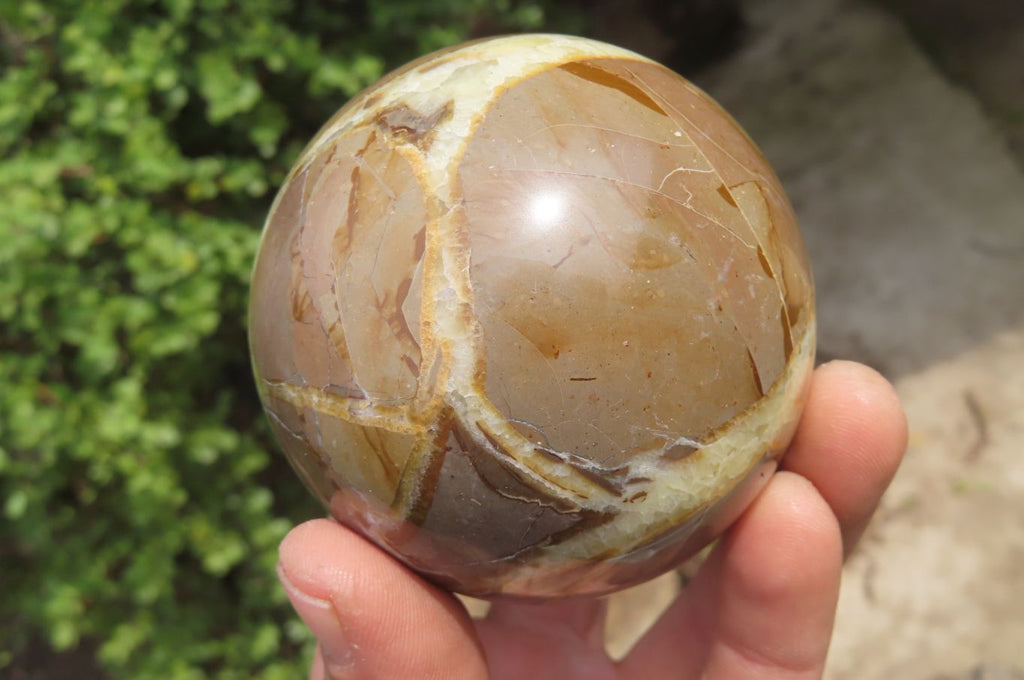 Polished Septerye Spheres x 6 From Mahajanga, Madagascar - Toprock Gemstones and Minerals 