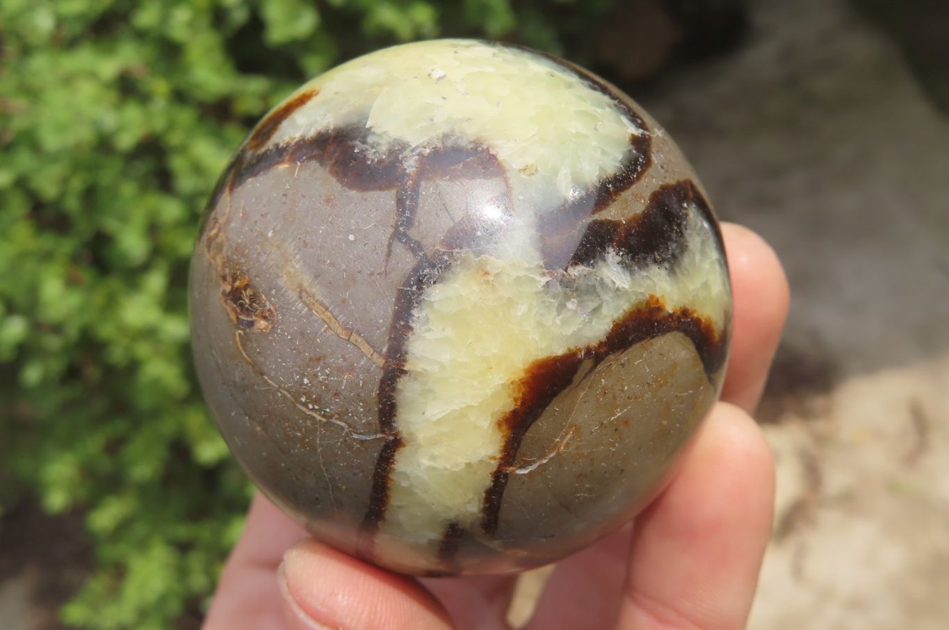 Polished Septerye Spheres x 6 From Mahajanga, Madagascar - Toprock Gemstones and Minerals 