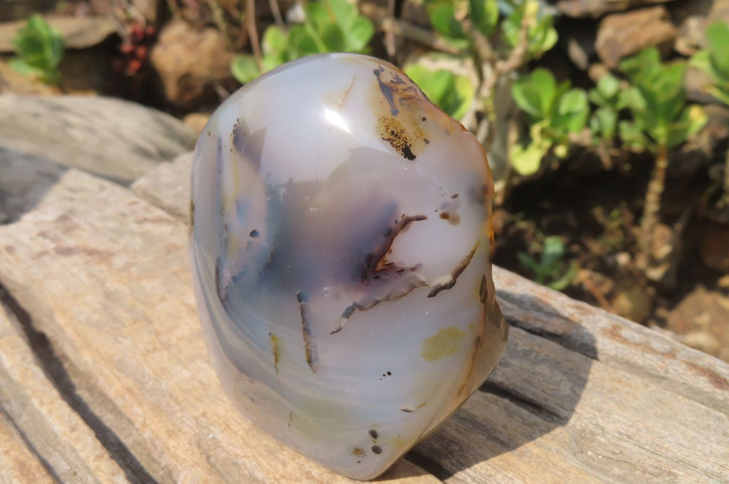Polished Dendritic Agate Standing Free Forms x 4 From Madagascar - Toprock Gemstones and Minerals 