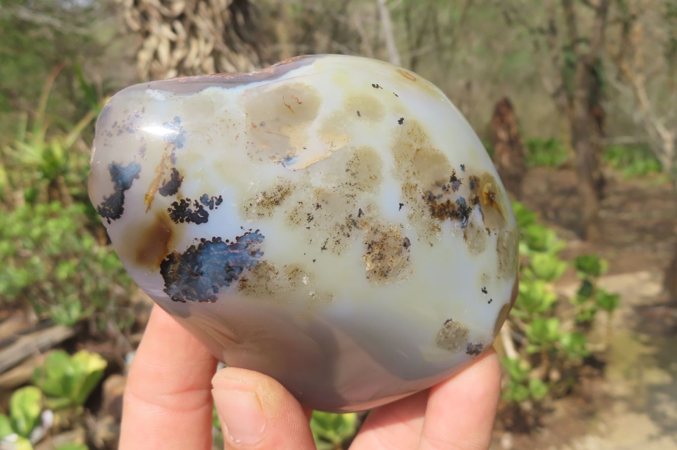 Polished Dendritic Agate Standing Free Forms x 4 From Madagascar - Toprock Gemstones and Minerals 