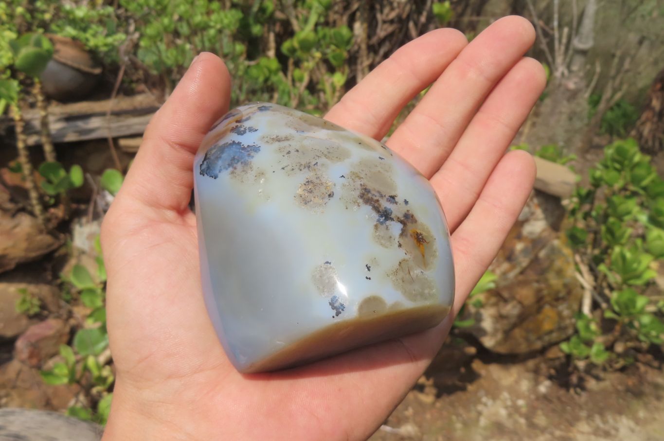 Polished Dendritic Agate Standing Free Forms x 4 From Madagascar - Toprock Gemstones and Minerals 
