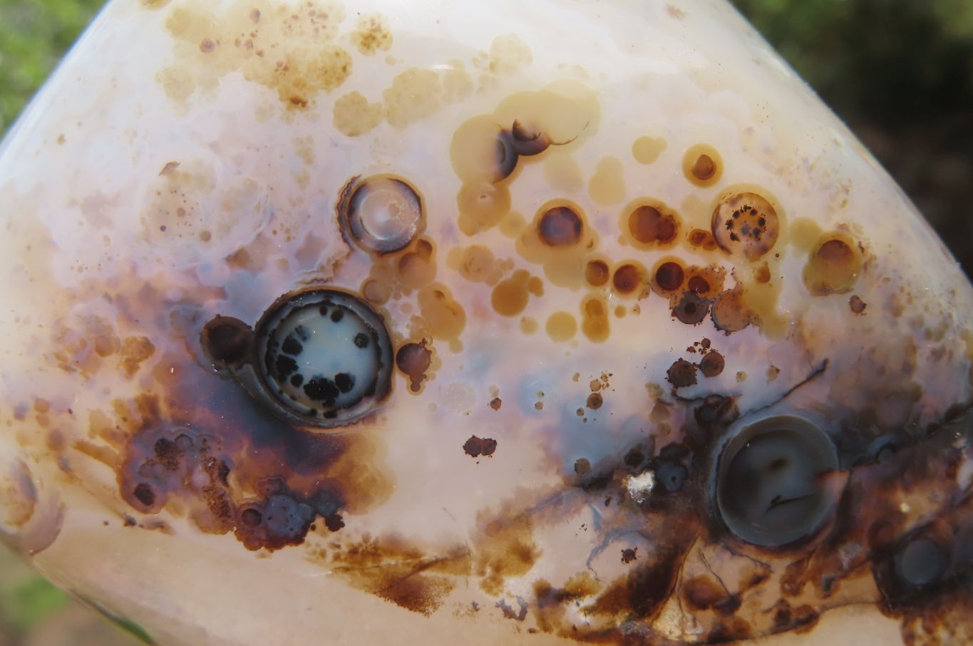 Polished Dendritic Agate Standing Free Forms x 4 From Madagascar - Toprock Gemstones and Minerals 