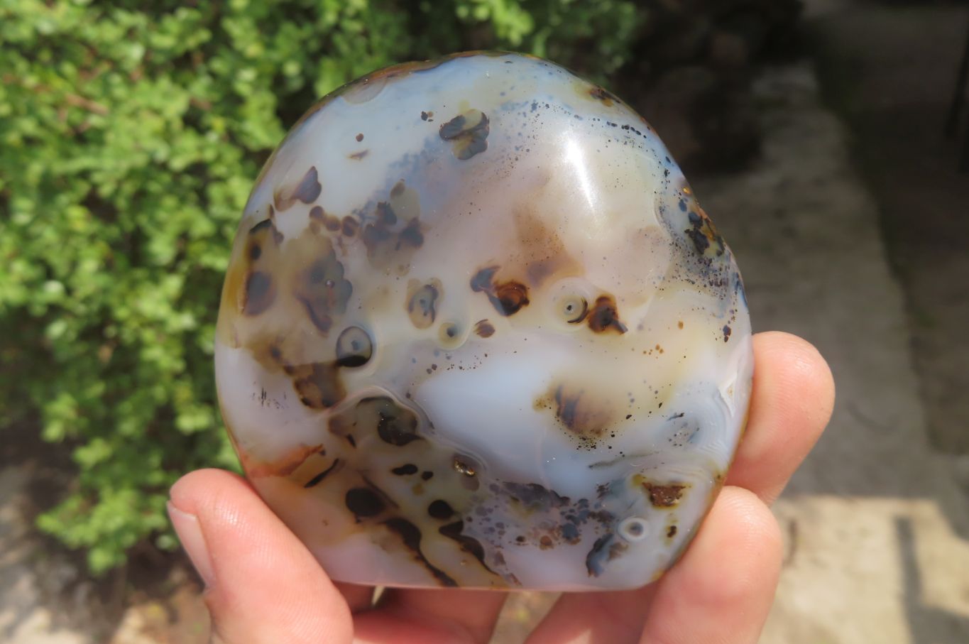 Polished Dendritic Agate Standing Free Forms x 4 From Madagascar - Toprock Gemstones and Minerals 