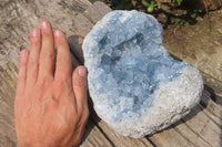 Natural Blue Celestite Geode Specimen x 1 From Sakoany, Madagascar - Toprock Gemstones and Minerals 