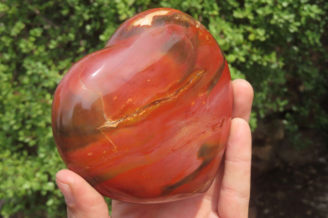Polished Red Podocarpus Petrified Wood Hearts x 2 From Madagascar - Toprock Gemstones and Minerals 