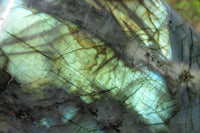 Polished Labradorite Standing Free Form x 1 From Tulear, Madagascar - Toprock Gemstones and Minerals 