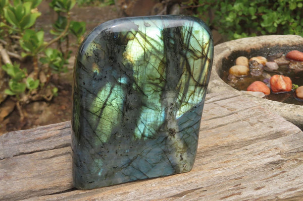 Polished Labradorite Standing Free Form x 1 From Tulear, Madagascar - Toprock Gemstones and Minerals 