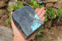 Polished Labradorite Standing Free Form x 1 From Tulear, Madagascar - Toprock Gemstones and Minerals 