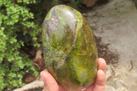 Polished Green Opal Standing Free Forms x 2 From Antsirabe, Madagascar - Toprock Gemstones and Minerals 