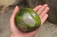 Polished Green Opal Standing Free Forms x 2 From Antsirabe, Madagascar - Toprock Gemstones and Minerals 
