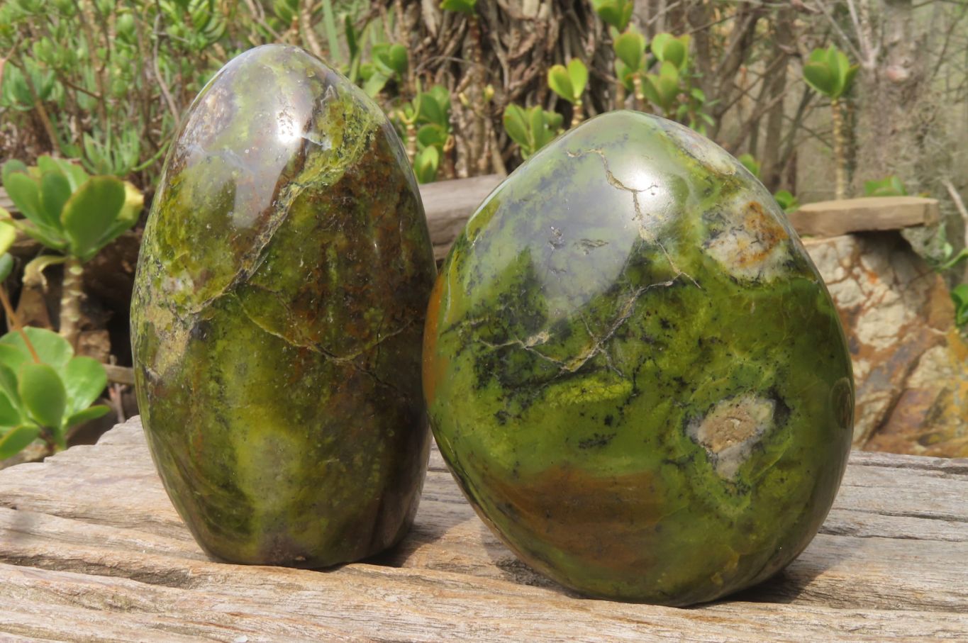 Polished Green Opal Standing Free Forms x 2 From Antsirabe, Madagascar - Toprock Gemstones and Minerals 