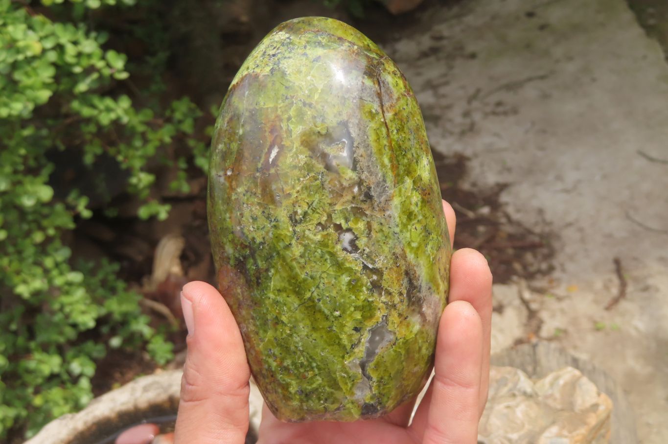 Polished Green Opal Standing Free Forms x 2 From Antsirabe, Madagascar - Toprock Gemstones and Minerals 