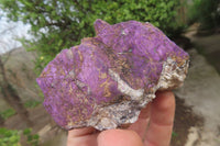 Natural Metallic Purpurite Cobbed Specimens x 6 From Erongo, Namibia - Toprock Gemstones and Minerals 