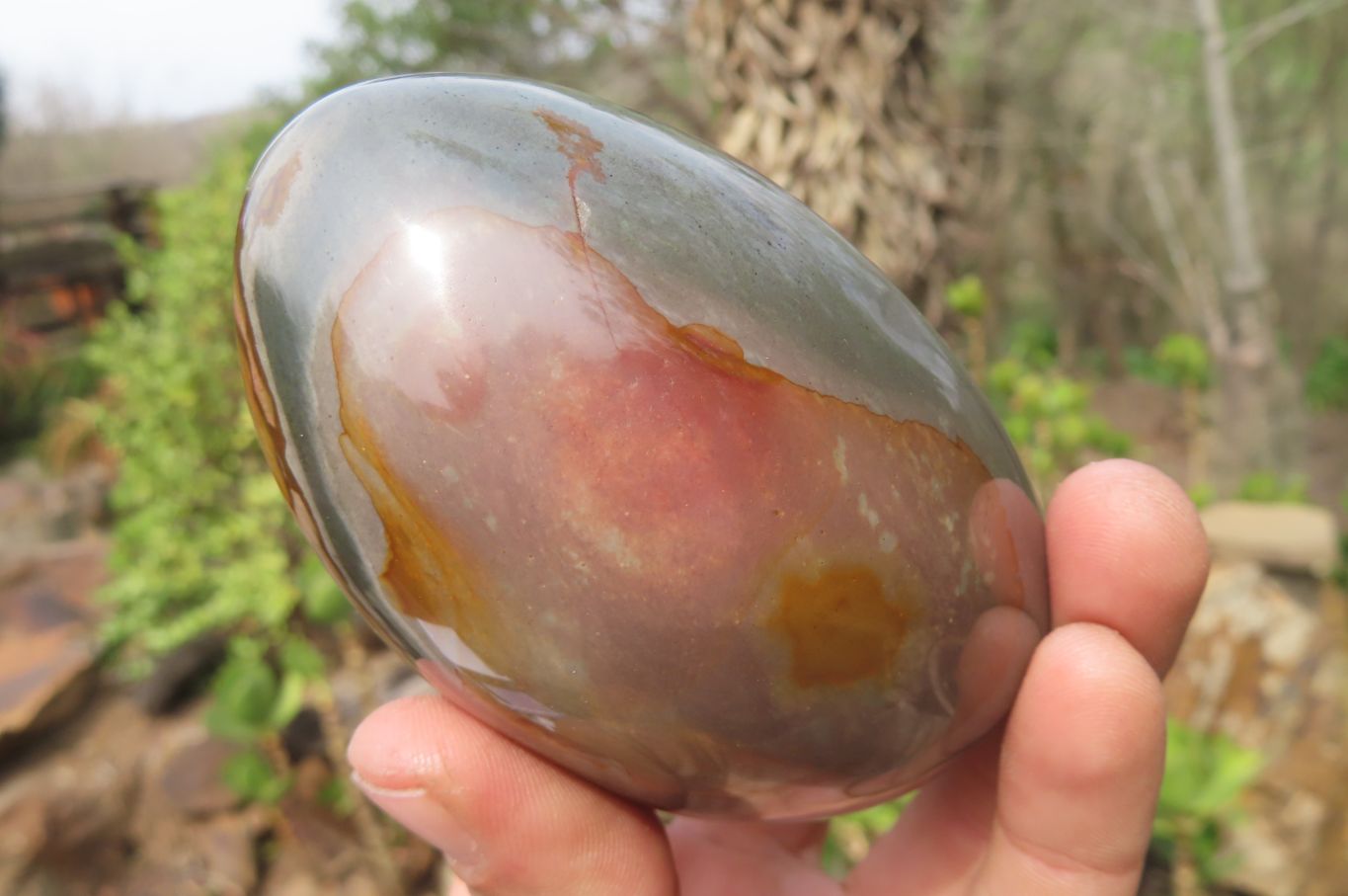 Polished Polychrome Jasper Standing Free Forms x 4 From Madagascar - Toprock Gemstones and Minerals 