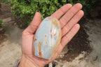 Polished Polychrome Jasper Standing Free Forms x 4 From Madagascar - Toprock Gemstones and Minerals 